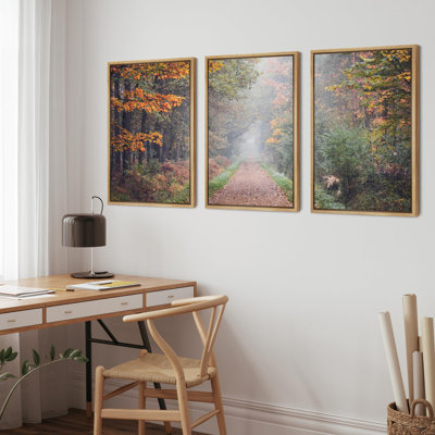 Autumn Fall " Fall Splendor Forest Path Nature Wilderness Photography Realism Modern Landscape Colorful Cool " 3 - Pieces