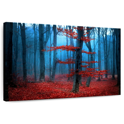 Harnek Forest During Autumn