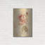Art mural en métal Winston Porter «Rose On Cracked Linen» par Cheri Blum-2106137235
