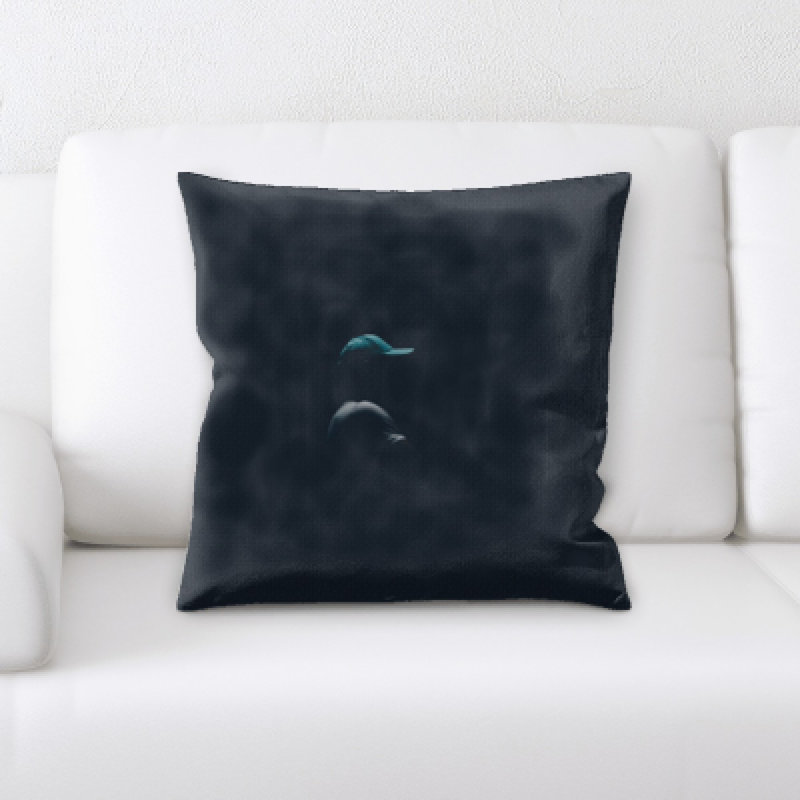 Coussin décoratif