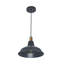 Luminaire suspendu noir à 1 lumière Saisha