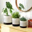 Pot Planter