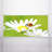Octo Lights - Fluorescent Light Covers - Flexible Decorative Light Diffuser Panels - Flower - For Classrooms And Offices - Flower 002