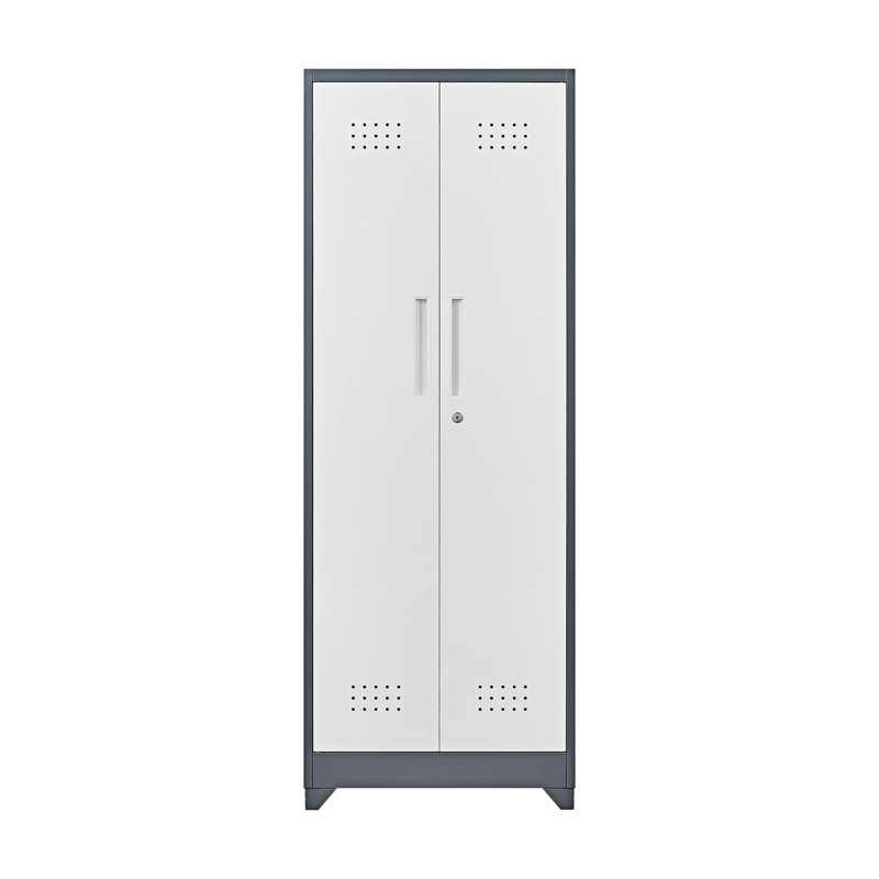 Armoire à outils en métal avec porte verrouillable, Gris / blanc