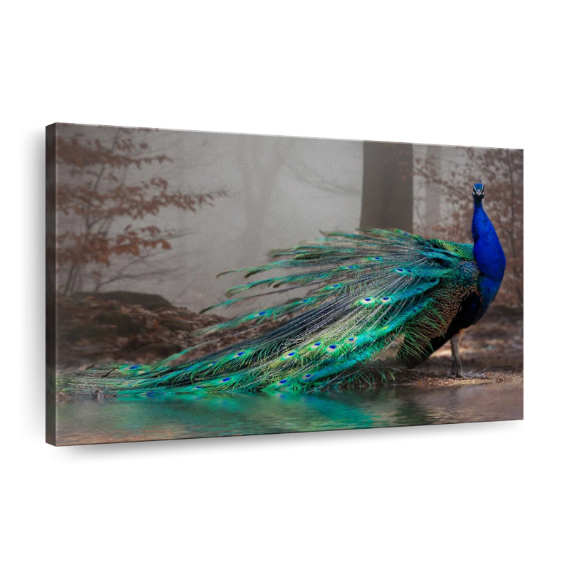 Élégant paon bleu sur toile, H 16 po x l 24 po