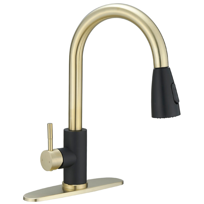 Robinet de cuisine à une poignée et douchette extractible avec conduites d'alimentation en noir mat, Noir mat / or brossé