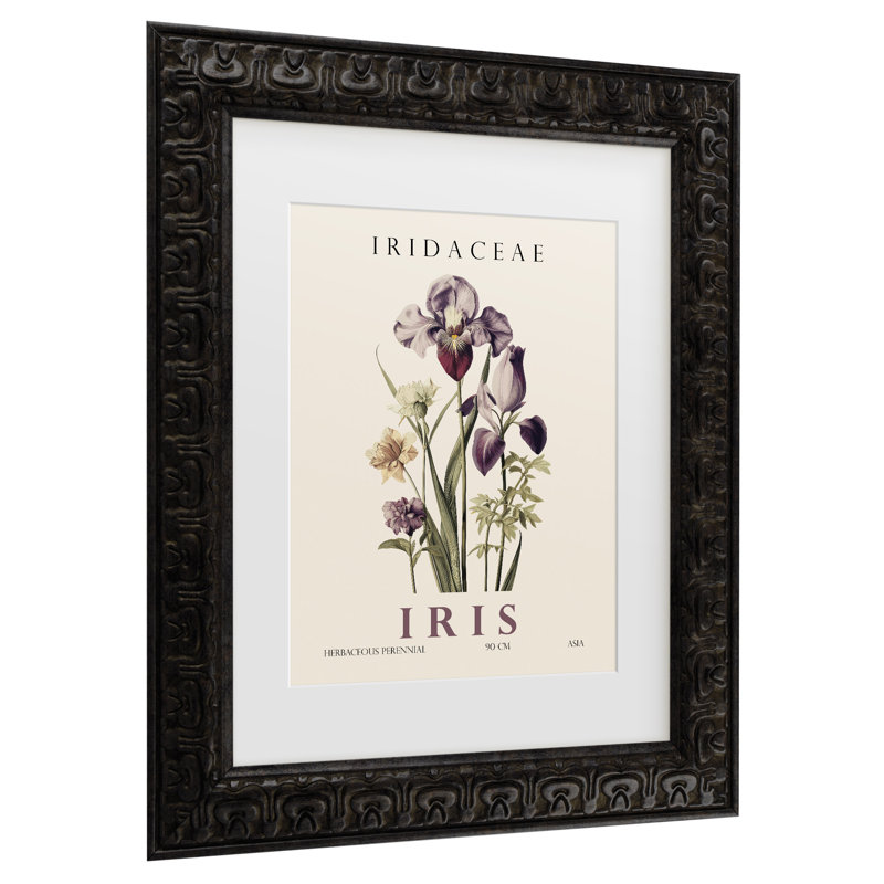Art mural encadré - Décoration murale «Iris» de Christopher Giampietro avec cadre mat - Art du salon, de la cuisine et de la salle de bain - 11 x 14