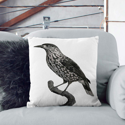 Square Cushion