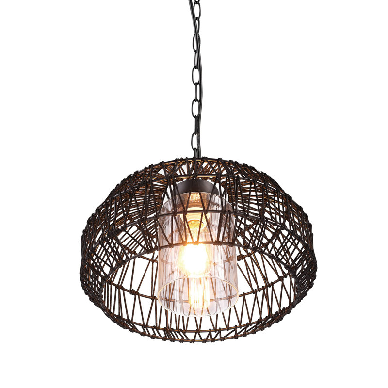 1 Light Outdoor Plug in Pendant Light