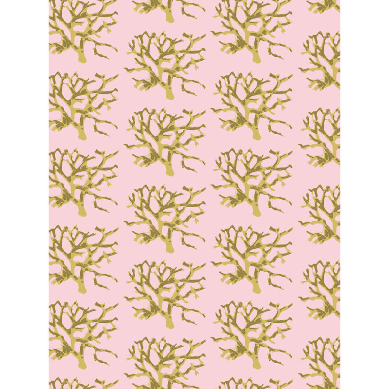 Coral, Fiji