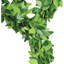 Couronne de lapin 24 pouces