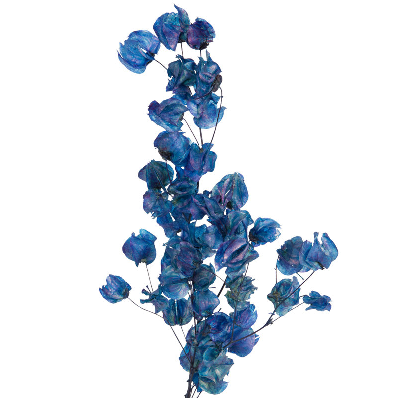 Preserved Cara Blossom Arrangement, Navy
