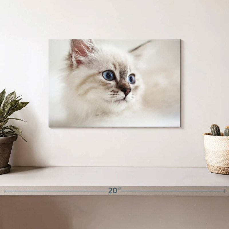 Brampt Neva Masquerade Cat, 8" H x 12" W
