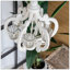 Lustre 6 lumières Casleton