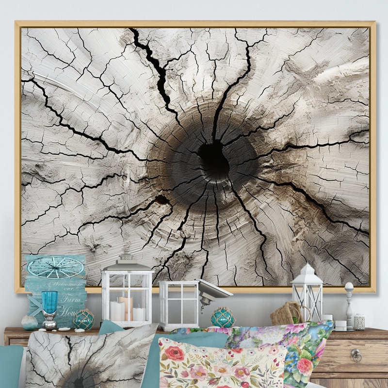 «Tree Cut Stump Beauty I», reproduction sur toile, Cadre naturel flottant, H 12 po x l 20 po x P 1 po