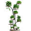 Plant Stand