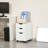 Bretagne 13.5'' Wide 3 - Drawer Filing Storage Cabinet