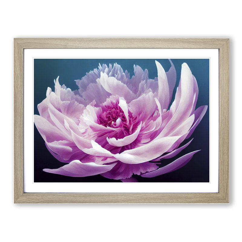 Unbelievable Peony Flower - Framed Print, 46cm H x 64cm W x 2cm D, Oak