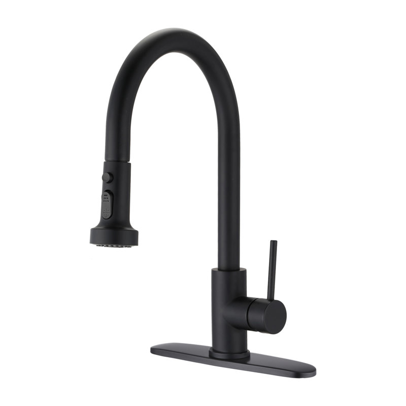 Robinet de cuisine rétractable en acier inoxydable avec pulvérisateur brossé, Noir mat