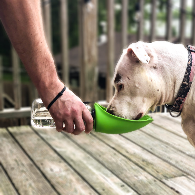 Pet Bowl, Green