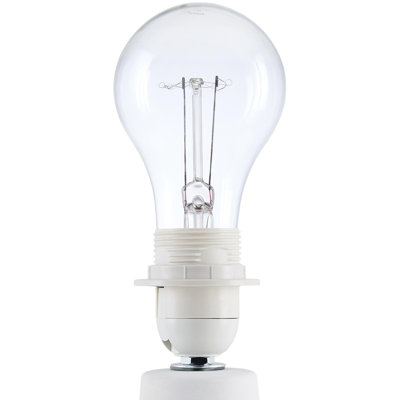 Momsen Colored Scallop Shade Lamp