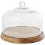 Bois de manguier décoratif avec cloche en verre-190616634