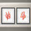 " Coral Kelp I " 2 - Pieces Painting Print