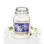 Jasmine Scented Jar Candle