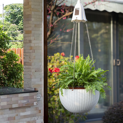 Justice Hanging Planter