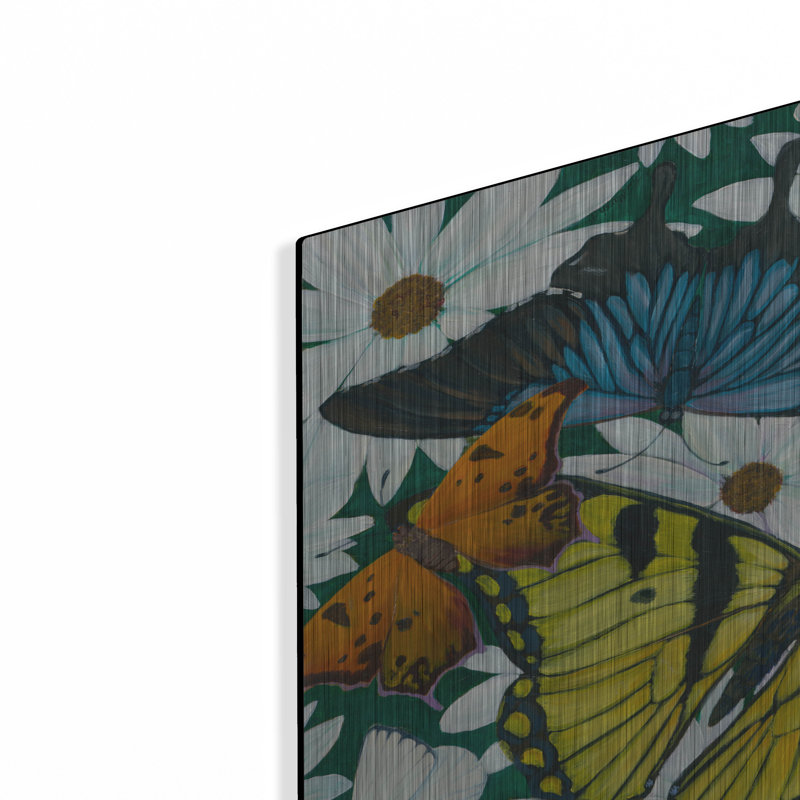 «Butterfly Collage» par Tim Marsh sur, H 24 po x l 36 po