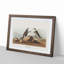 Ring Plover Birds by John Audubon - Picture Frame Painting Print-55598776-55598769