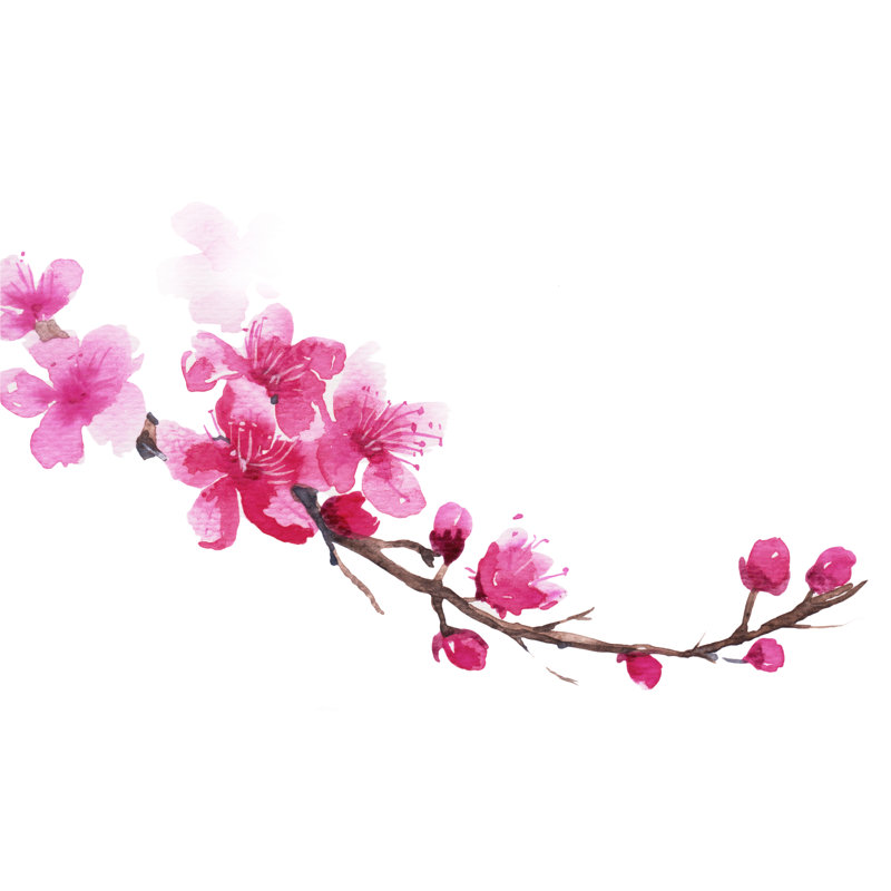 Branch Of Cherry Blossom - Wrapped Canvas Painting, 122cm H x 122cm W x 3.8cm D
