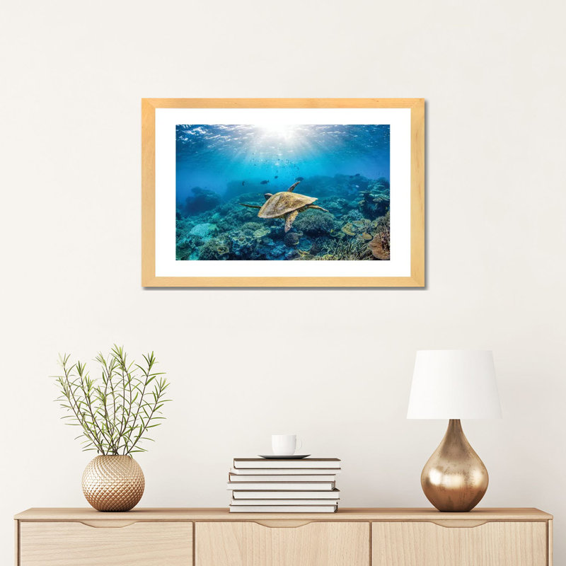 Reef Glider par Jordan Robins - reproduction d'art, Blanc, Toile avec cadre en bois beige, H 16 po x l 24 po x P 1 po