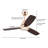 42” Ceiling Fan Light With Remote Control (Walnut)-972668511