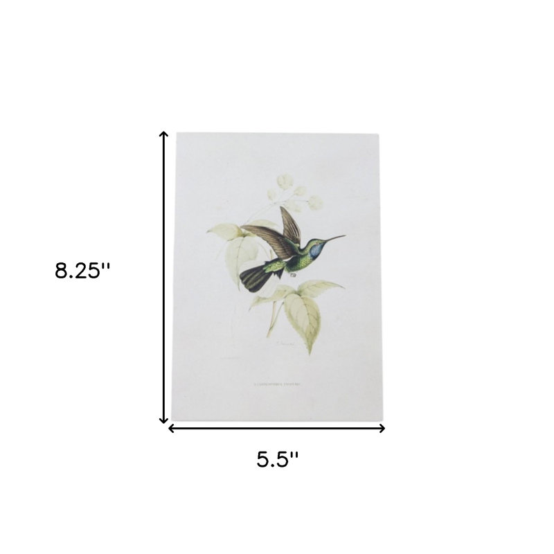 Ensemble de quatre décorations murales colibri blanc
