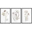 "Minimal Botanical" Wildflowers-91875097-91875096