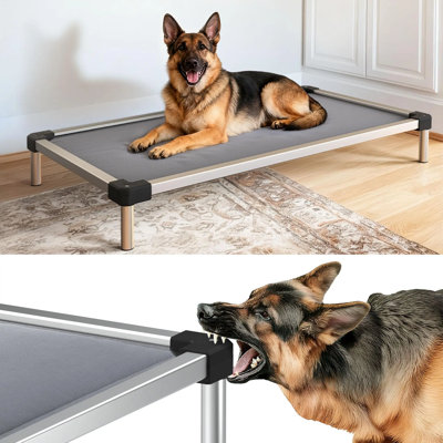 FXW TitanNest Chew-Proof Elevated Dog Bed, Raised Cot for Indoor/Outdoor/Camping Use, Durable & Washable Padded Pet Bed for Small Dogs, 35.0" L x 22.0" W x 4.5" H, Black