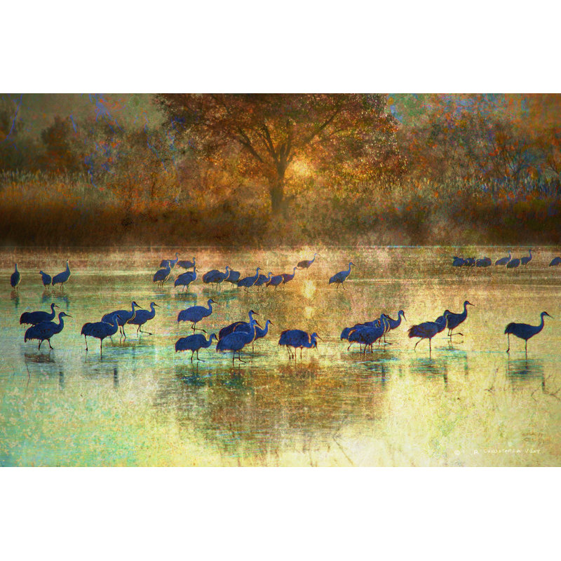 Cranes In Mist II by Chris Vest - Wrapped Canvas Print, 30cm H x 46cm W x 3.8cm D