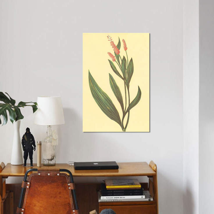 «Water Knotweed», reproduction sur toile, H 26 po x l 18 po x P 1,5 po, Pas de tapis, Toile tendue