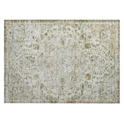 Machine Washable Indoor/Outdoor Colman ACN2138 Global Rug
