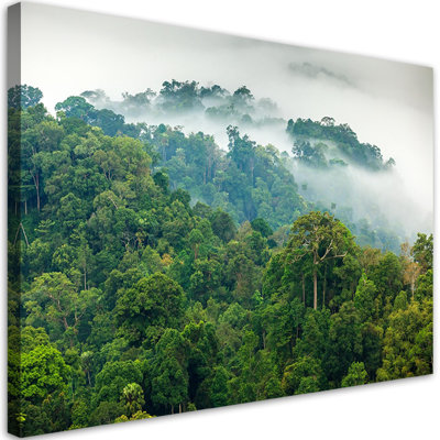 Forest In The Fog Landscape - No Frame Print on Canvas