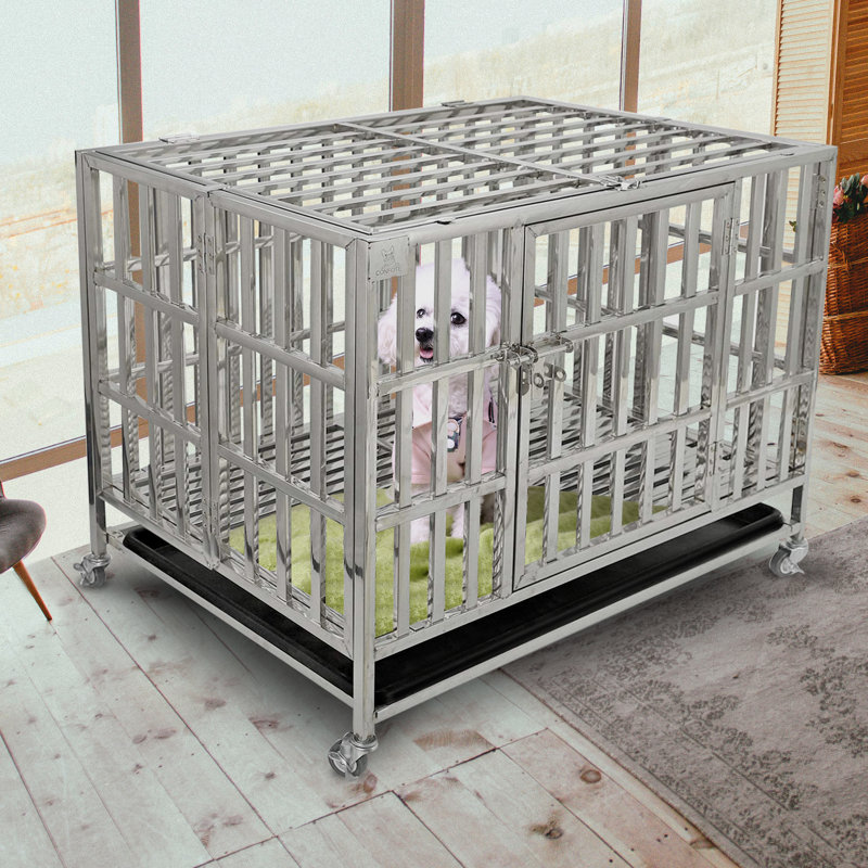 Cage pour chien en acier inoxydable Fasano, H 27 po x l 37 po x P 25 po