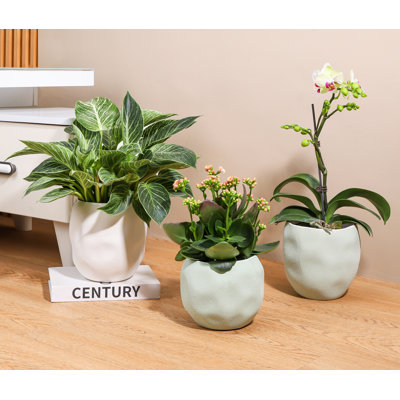 Pot de culture en béton façonné à la main, petit modèle - Intérieur/Extérieur