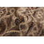 Tapis de la zone de laine brune 5 pi 1 po x 8 pi 1 po "one-of-kind" -the main noué la 2010 Grogan