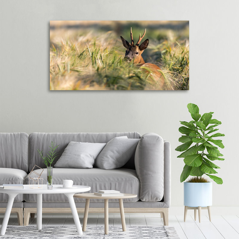 Deer In The Field - No Frame Print on Canvas