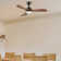 42" 3 - Blade Small Room Ceiling Fan with LED Light and Remote