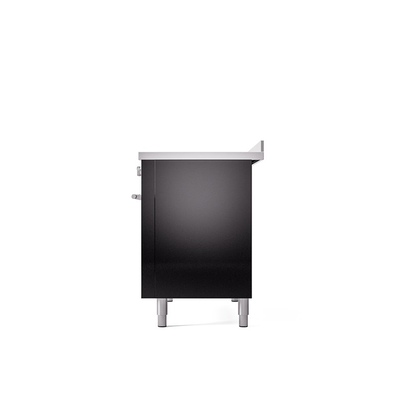 ILVE Professional Plus II 48 po à induction, 6 éléments à induction (porte pleine), Noir lustré