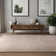 Cesidio Hand Woven Area Rug