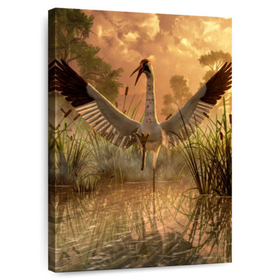 Brampt Sandhill Crane
