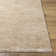 Dan Machine Woven Polyester Area Rug in Beige
